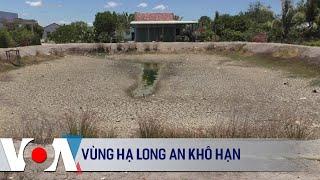 Vùng hạ Long An khô hạn | VOA Tiếng Việt