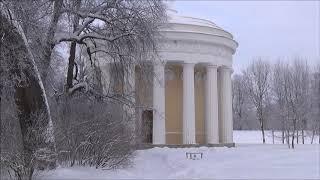 Зимний пейзаж - Николай Вейков. Санкт-Петербург, Павловск, Павловский парк - январь 2019