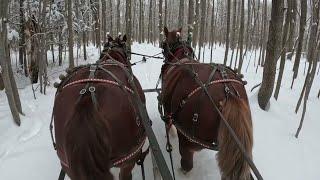 Rolling the SLEIGH RIDE TRAIL on a gorgeous winter day!! #721