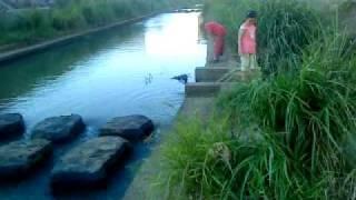 5 mois , went to the river near the house with all family