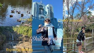 My first trip ever to Shillong ( Meghalaya) || 2 days trip , sightseeing, cherry blossom