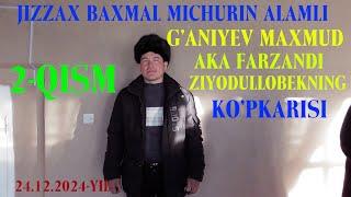 MICHURIN ALAMLI MAXMUD AKA KO'PKARISI 2- QISM