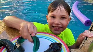 Jelly vs Inflatable Challenge from Max and Katy