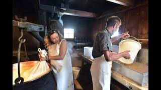 Team experience | Cheesemaking at a Alpine cheese dairy | Pontresina, Switzerland