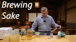A New Way to Make Traditional Japanese Sake!