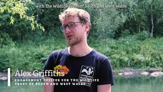 Save Our Taff Campaign Video