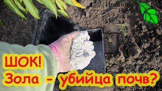 НЕ ПРИТРАГИВАЙТЕСЬ К ЗОЛЕ! Сперва узнайте, как правильно и безопасно использовать в саду и огороде.