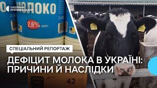 Дефіцит молока в Україні призвів до його здорожчання. Яка ситуація на Кіровоградщині