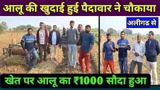 अलीगढ में कच्चे आलू की खुदाई की पैदावार ने चौंकाया kufri uday aalu ki kheti | real farmer education