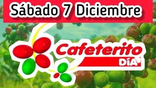 Resultado EL CAFETERITO TARDE Sabado 7 de Diciembre de 2024