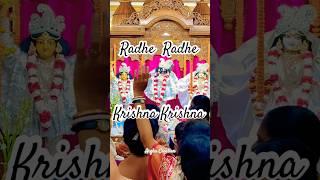 Radhe Radhe Krishna Krishna #radhakrishna #radheradhe #vrindavan #iskcon #kirtan #viralshorts