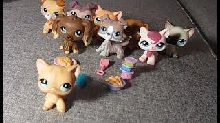 NEW ЭКСКЛЮЗИВНАЯ РАСПАКОВКА lps Littlest Pet Shop | Hasbro стоячки,таксы,колли,полу стоячки!!!