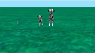 Danyal Rehan dog wag