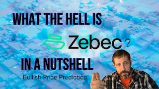 Zebec Network: The Future of Real-Time Payments? Price Prediction + Partnerships EXPLAINED!