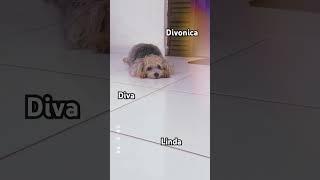 10 de junho de 2025