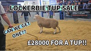 £28000 For a CHEVIOT tup!! Lockerbie auction, do we manage to get one bought???