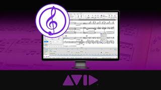 Curso de Sibelius First - AudioScore