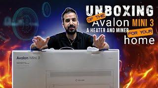 Canaan Avalon Mini 3 - Unboxing And Set Up