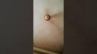 AKASH sort video