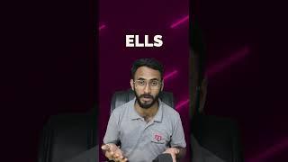 Fund Management for Maximum Tax Savings || MR CONSULTANTS || MANISH RAWAL