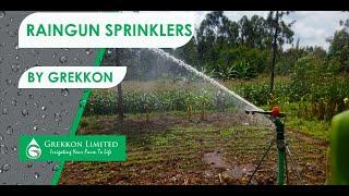 40py rain gun sprinklers in Kenya. Best Rain gun Sprinkler in Kenya by Grekkon Limited