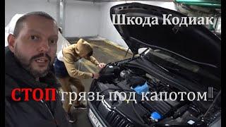 Шкода Кодиак TDI, стоп грязь под капотом