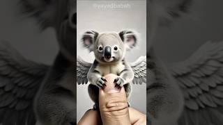 "Megical mini Koala Flaying on finger" Yayad Babah #shorts #trending #love #cute #funny #animals