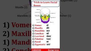 Trick to Learn Facial Bones || Mnemonic for facial bone #biologysewa