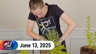 MalMakes: Herb Garden | VOD 6.13.25