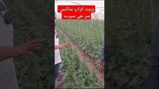 سر جی سپرے| #agriculture #agriculturefarming #viralshorts #like @Abidaliagrarian