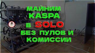 Майнинг KASPA в SOLO без ПУЛА на HIVE OS! Настраиваем свою НОДУ за 5 минут!