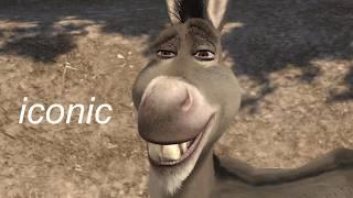 Donkey being an icon for over 5 minutes