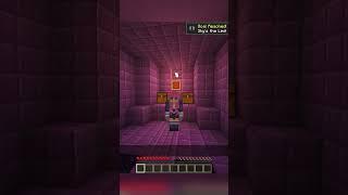 spice up your elytra game 