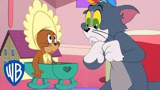 Tom & Jerry in italiano  | Jerry viene adottato | WB Kids