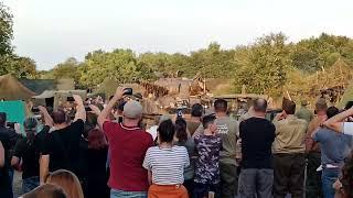 tir canon tank haillicourt pas de calais 2023 militaire