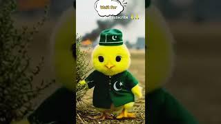 #hindustani bacha #trending short #pakistani chuga /// #love