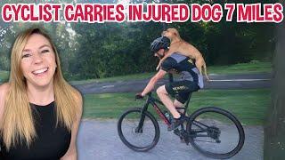 Cyclist carries injured dog 7 miles on his back to get him to safety