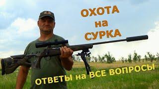 Охота на сурка от А до Я. Все что надо знать!!! Выбор оружия, прицела и патрона. Возможные ошибки,