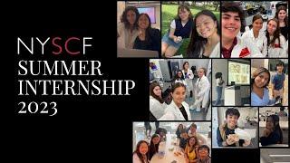 Meet the 2023 NYSCF Summer Interns