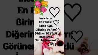 Hadis-i Şerif
