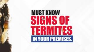 Must Know Signs Of Termite Infestation.