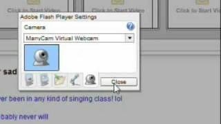 How To Use ManyCam With MSN Messenger Version 2009 And A Flash Based Websites With Windows 7