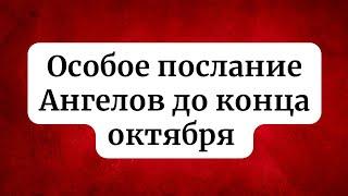 Особое послание Ангелов до конца октября. Для каждого знака зодиака.