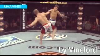 MMA VINES #10 / BY VINELORD