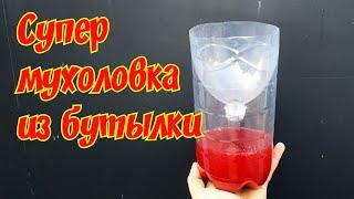 Мухоловка из пластиковой бутылки