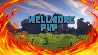 (PVP MONTAGE) WELLMORE СЛИЛ 2 ЧИТАКОВ - MORGEHSTERN БЕБЕБЕ