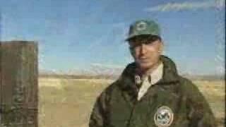 Wild About Washington: December 2006