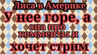 Лиса в Америке.Хочет стримы,потеряла ребенка,считает виноваты нервотрепки из-за зрителей