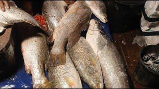 Various types of fish cutting showing you in my live. Please join and enjoy, you are most welcome.