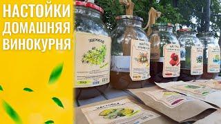 Настойки "Домашняя винокурня" - честный отзыв.